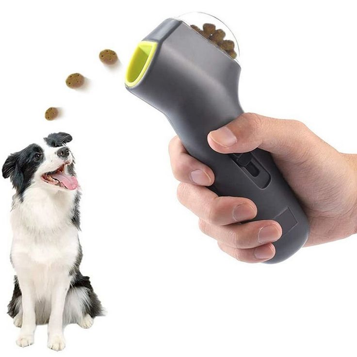 Treat Launcher For Dogs